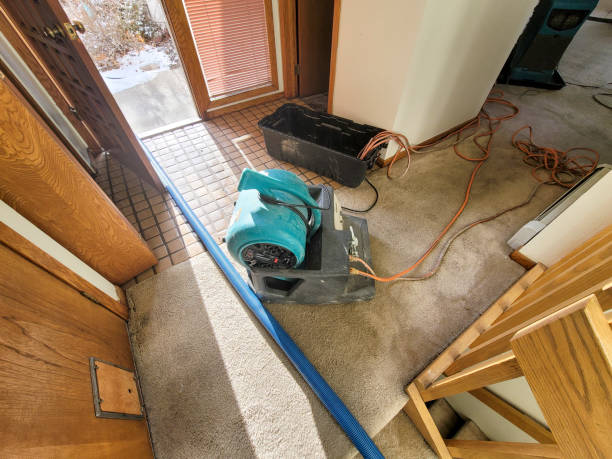 Best Water damage restoration company  in USA